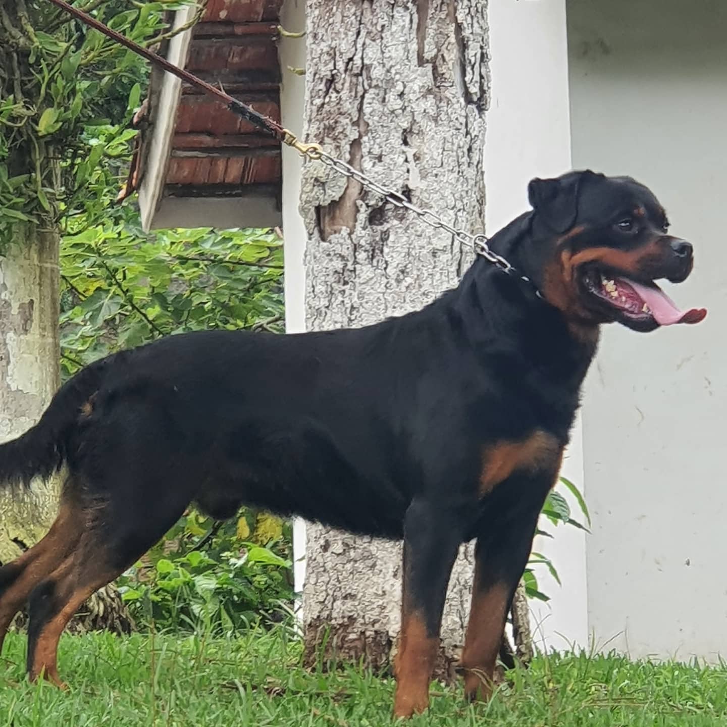 WhatsApp Image 2021-05-24 at 13.49.56